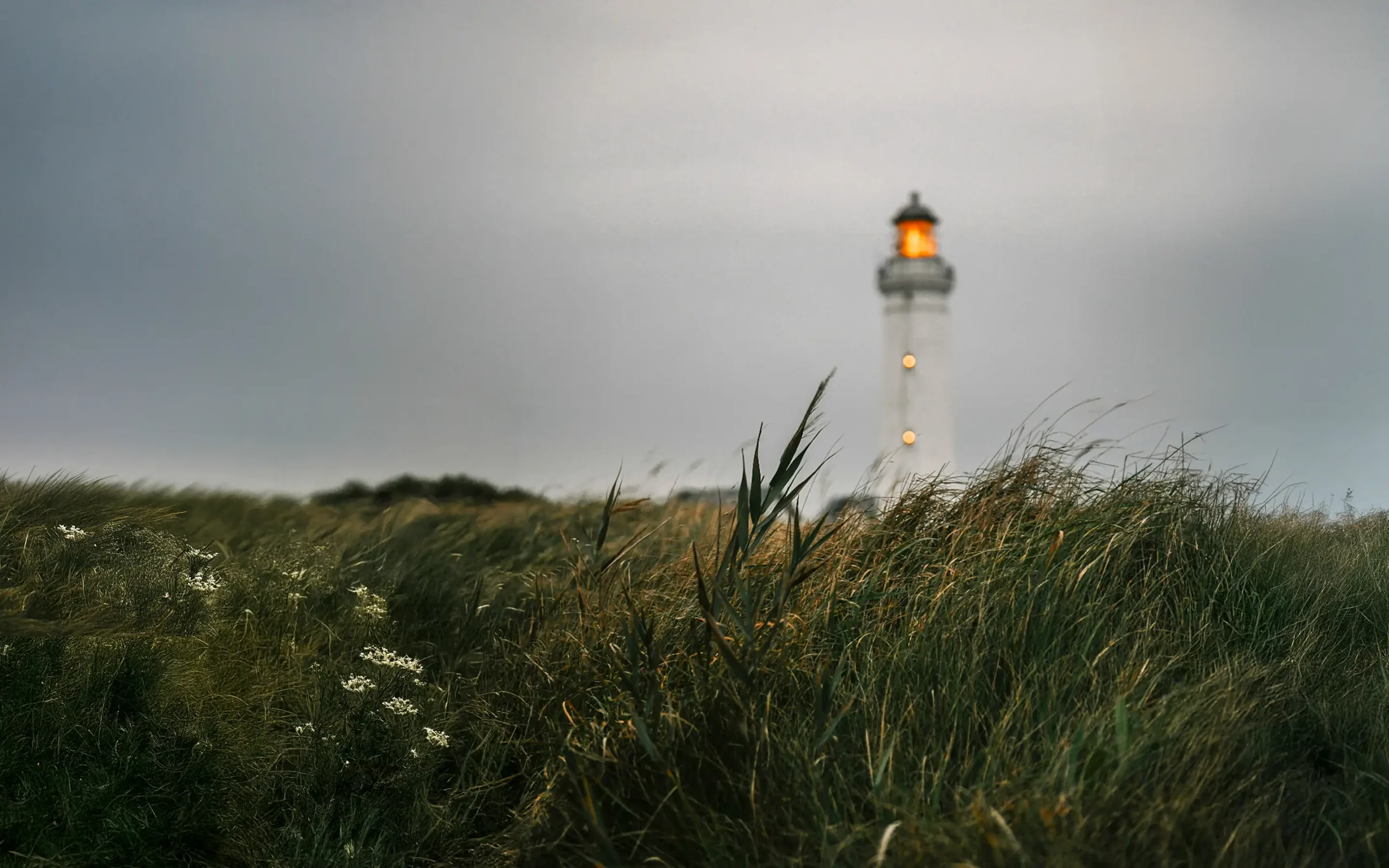 18.08. Einmal durch Dänemark