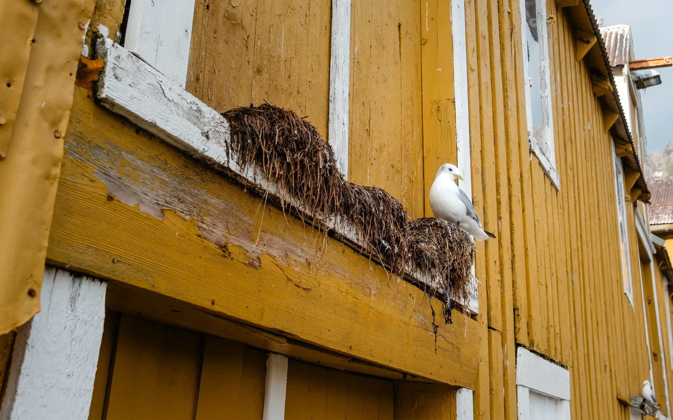 29.08. Regen lass nach