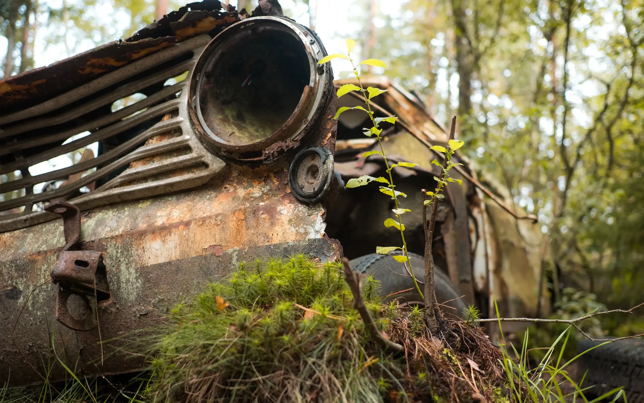 03.09./04.09. Seltsame Erscheinungen