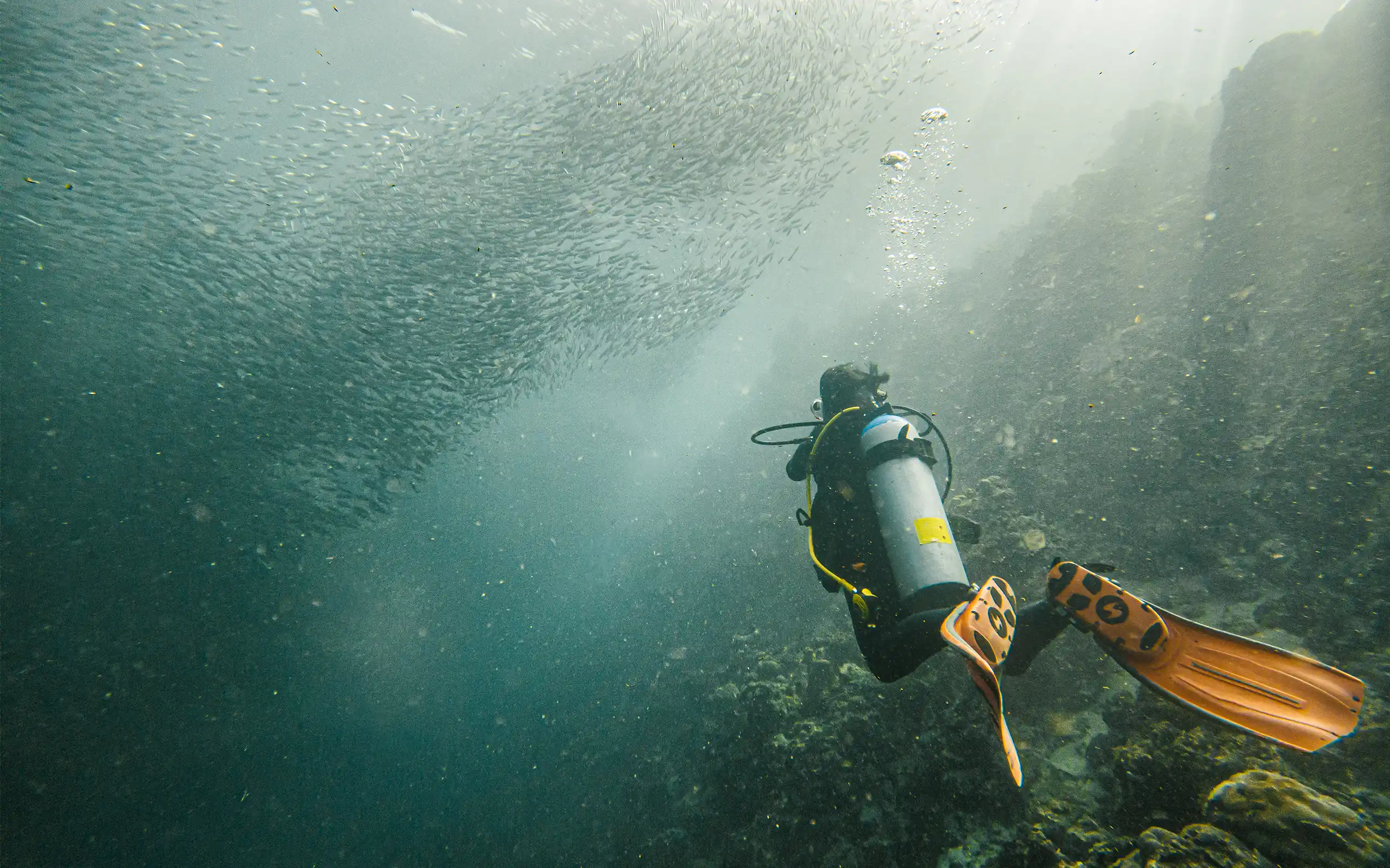 20. – 25.11. Moalboal