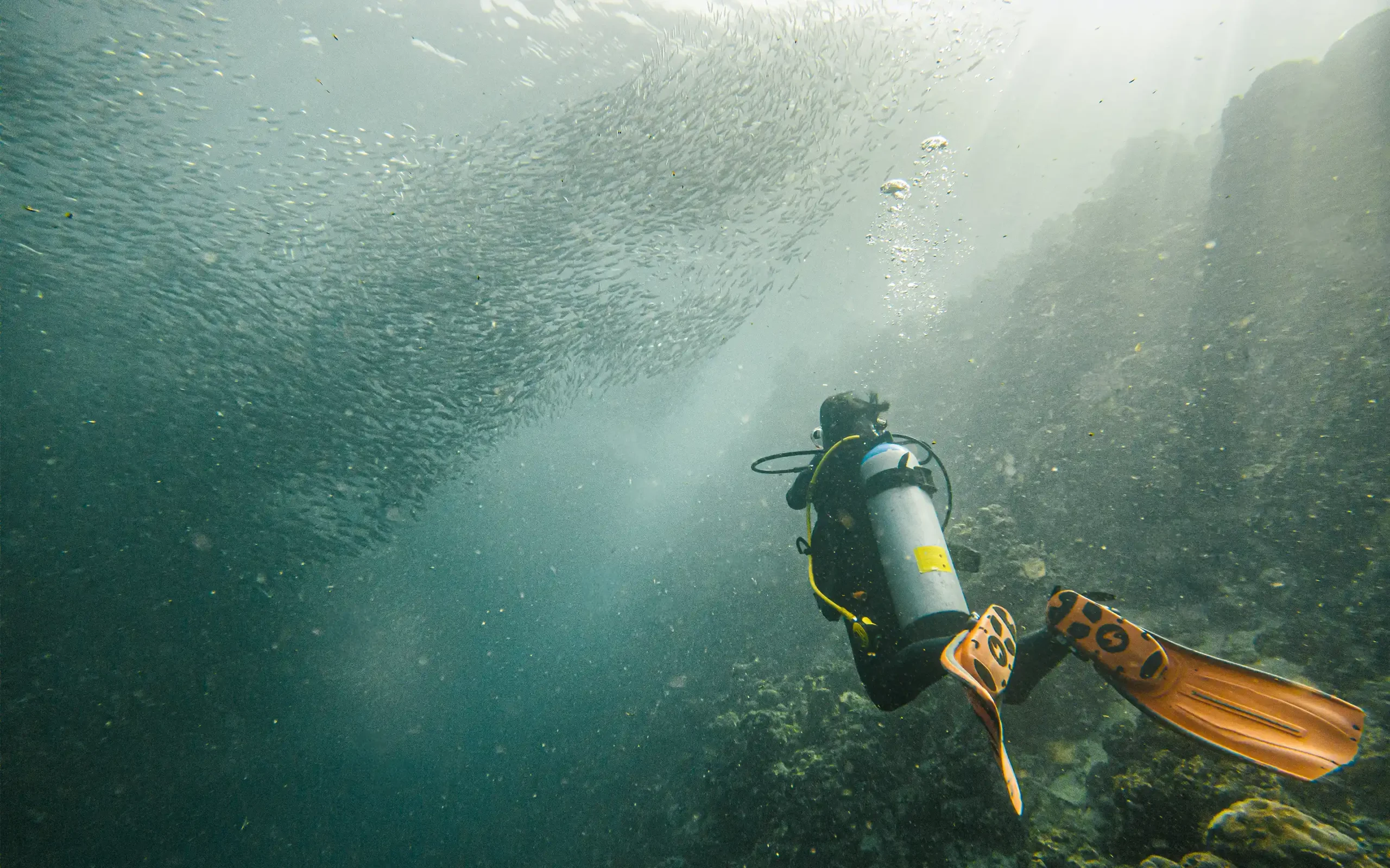 20. – 25.11. Moalboal