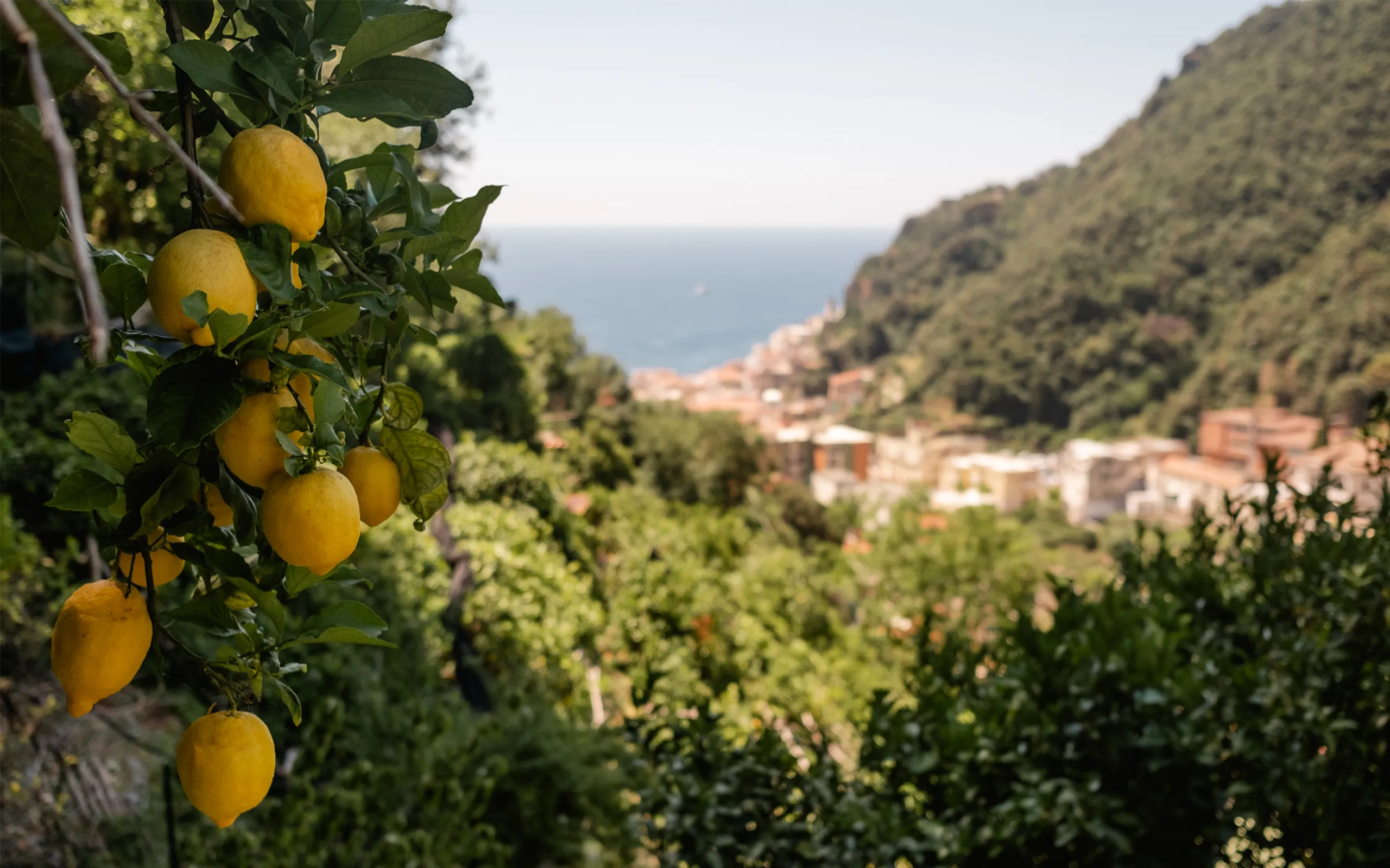 Italien